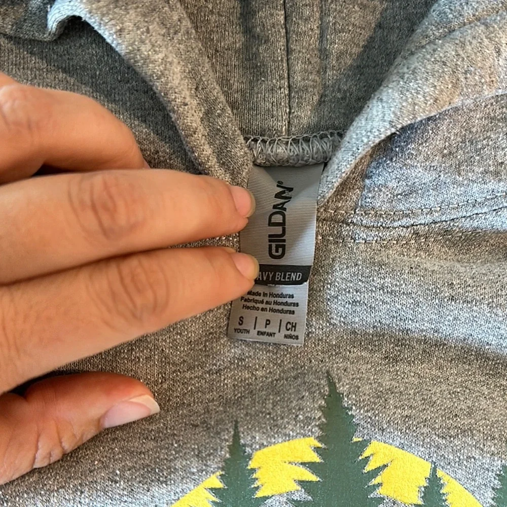 Gildan Gray Lincoln Park Zoo Bear Hoodie for Kids - Picture 4 of 5